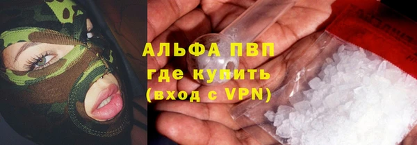 дмт Богданович