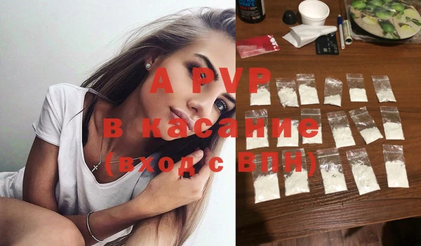 дмт Богданович