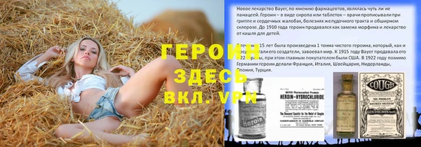 дмт Богданович