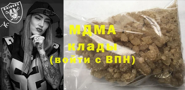 дмт Богданович
