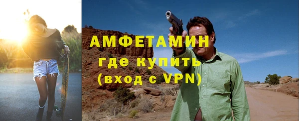 дмт Богданович